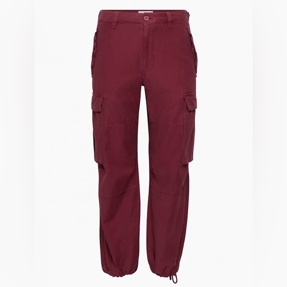 Aritzia Supply Cargo Pants